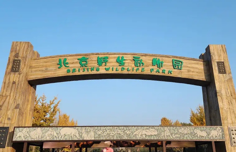 北京到北京野生動(dòng)物園包車(chē)旅游