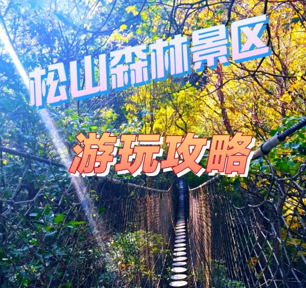北京到北京松山森林旅游區(qū)租車